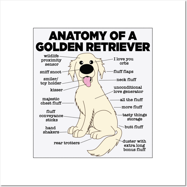 Anatomy Of A Golden Retriever Wall Art by Mstiv